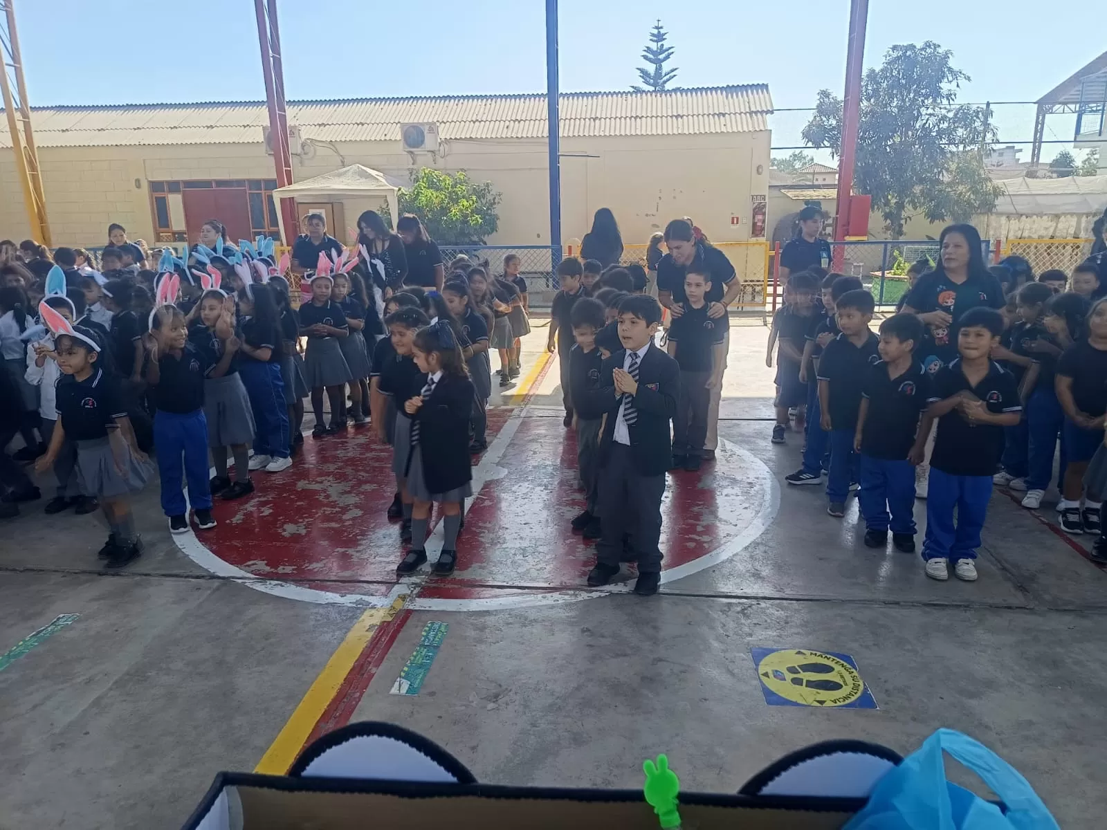 Imagen de la noticia