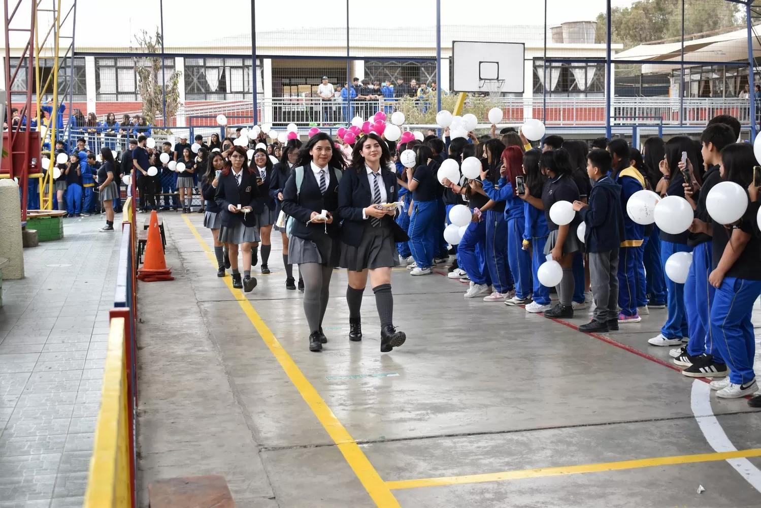 Imagen de la noticia